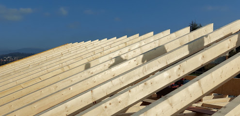 Bühler Zimmerei & Holzbau GmbH