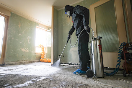 SANDERS repair GmbH – Bild
