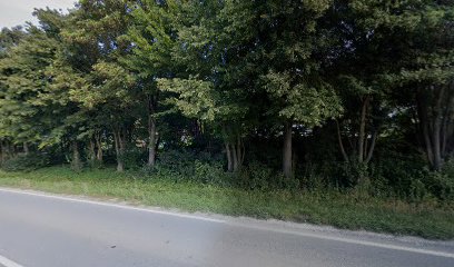 Rolf Dengler Zimmerer- und Dachdeckerbetrieb