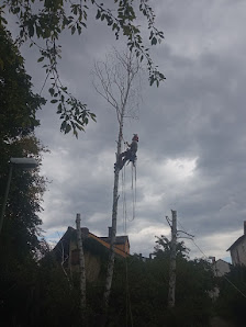 THE TREEHOUSECOMPANY – Bild