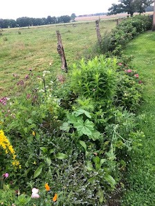 Haus und Garten-Gestaltung – Bild