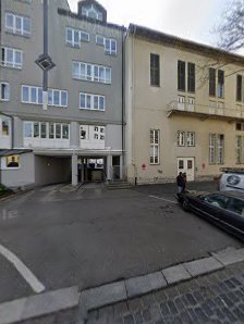 Firma Rex – Bild