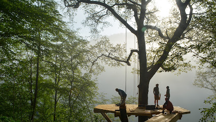 TheTreehouse.Shop