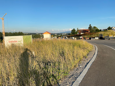 Baugebiet Halde – Bild