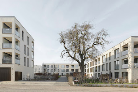 Hofmann Haus GmbH – Bild