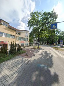 CONCENTUS – Bild