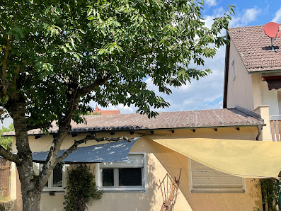 Bau Moll GmbH – Bild