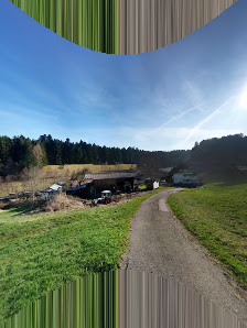 Holzfachzentrum Lautermühle GmbH – Bild