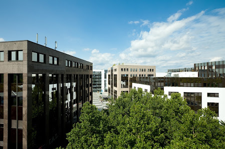 DV Immobilien Gruppe – Bild