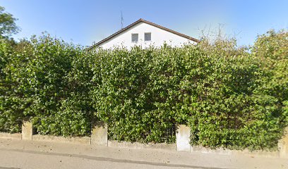 Exonbau