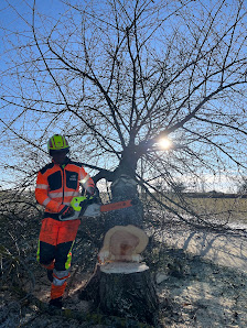 Land & Holz Kommando JOL GbR – Bild