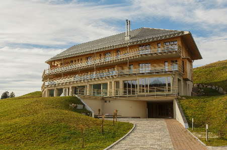 Zumkeller-Holz – Bild