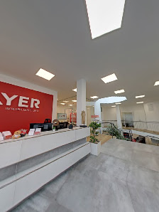 Layer Immobilien und Bau – Bild