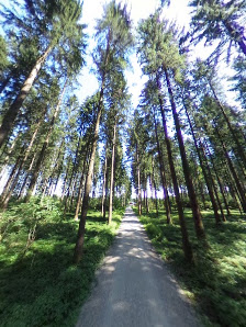 HOLZ UND BAUTEN GmbH & Co. KG – Bild