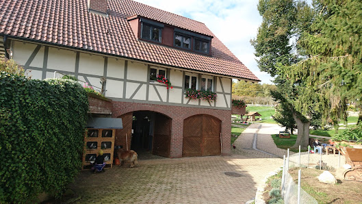Burkart Bau – Bild
