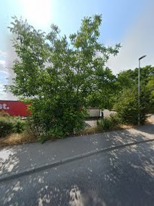 Reis-Holztechnik – Bild