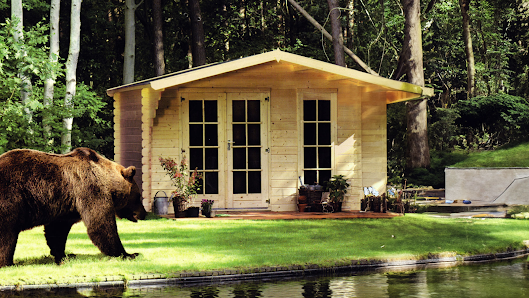 Gartenhaus Herkommer - Traum-Gartenhäuser vom Fachhändler – Bild