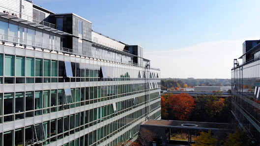 ARIKON AG – Bild