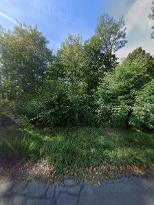 Löwe Immobilien UG iL (haftungsbeschränkt) Der Hausbaulöwe – Bild