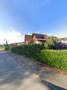 Wiedmer T. – Bild