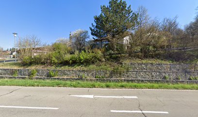 STAUSS Bauunternehmen