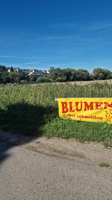 Schirling Türen GmbH – Bild