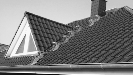 Dachservice Pintilei