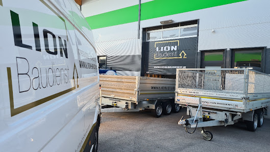 Lion Baudienst – Bild