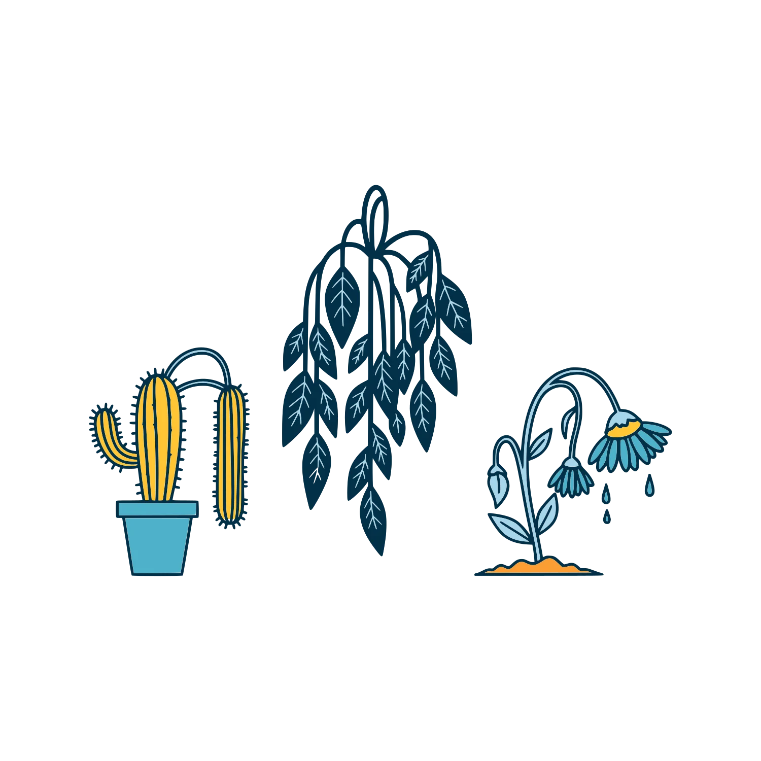 Pflanzen und Stauden trocken - Fertighaus-Traum